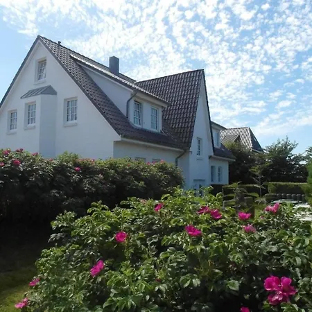 Sylter Seestern App Wattkieker Morsum (Sylt)