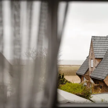 Sylter Seestern App Wattkieker モルズム